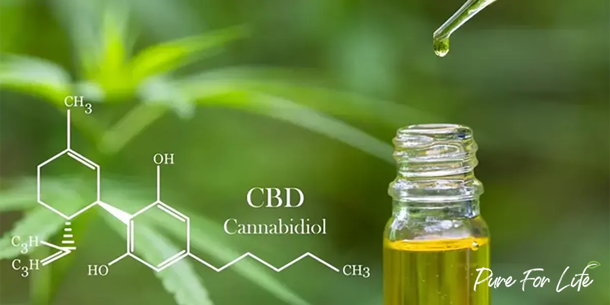 Cannabis leaf and bottle with hemp extract.